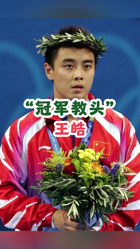 日本乒乓球队翻盘奥地利乒乓球队，王皓惊艳世界的简单介绍