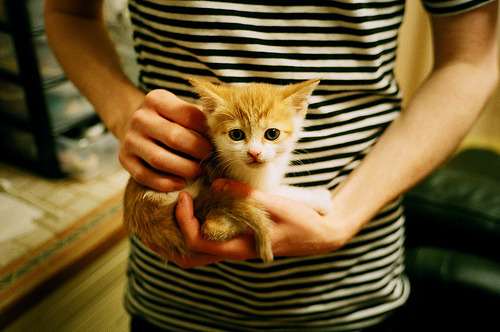 大场面基因，从阿尔及利亚鏖战土耳其，解码格纳布里的决胜密码