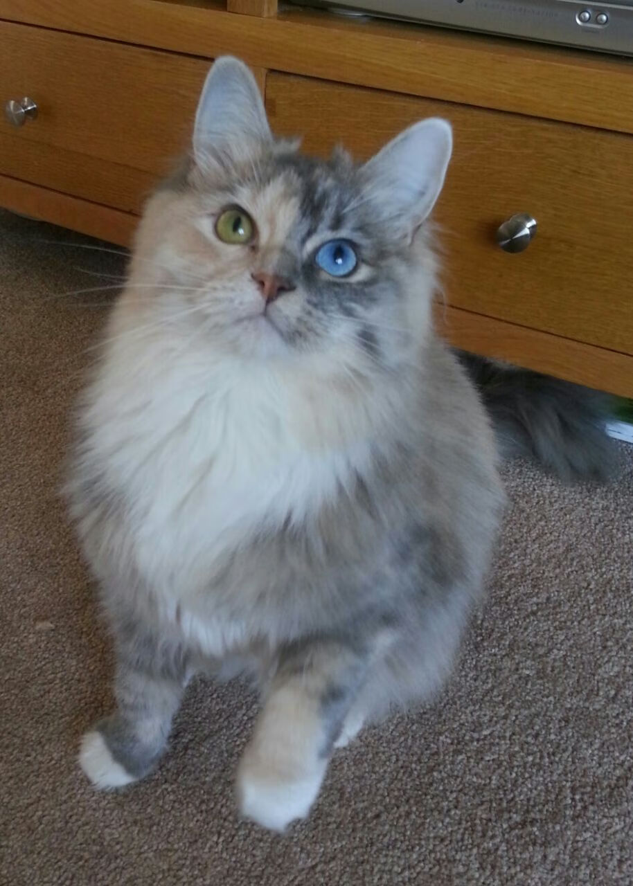 翡冷翠之镜,当文艺复兴的完胜映照内马尔的加冕时刻