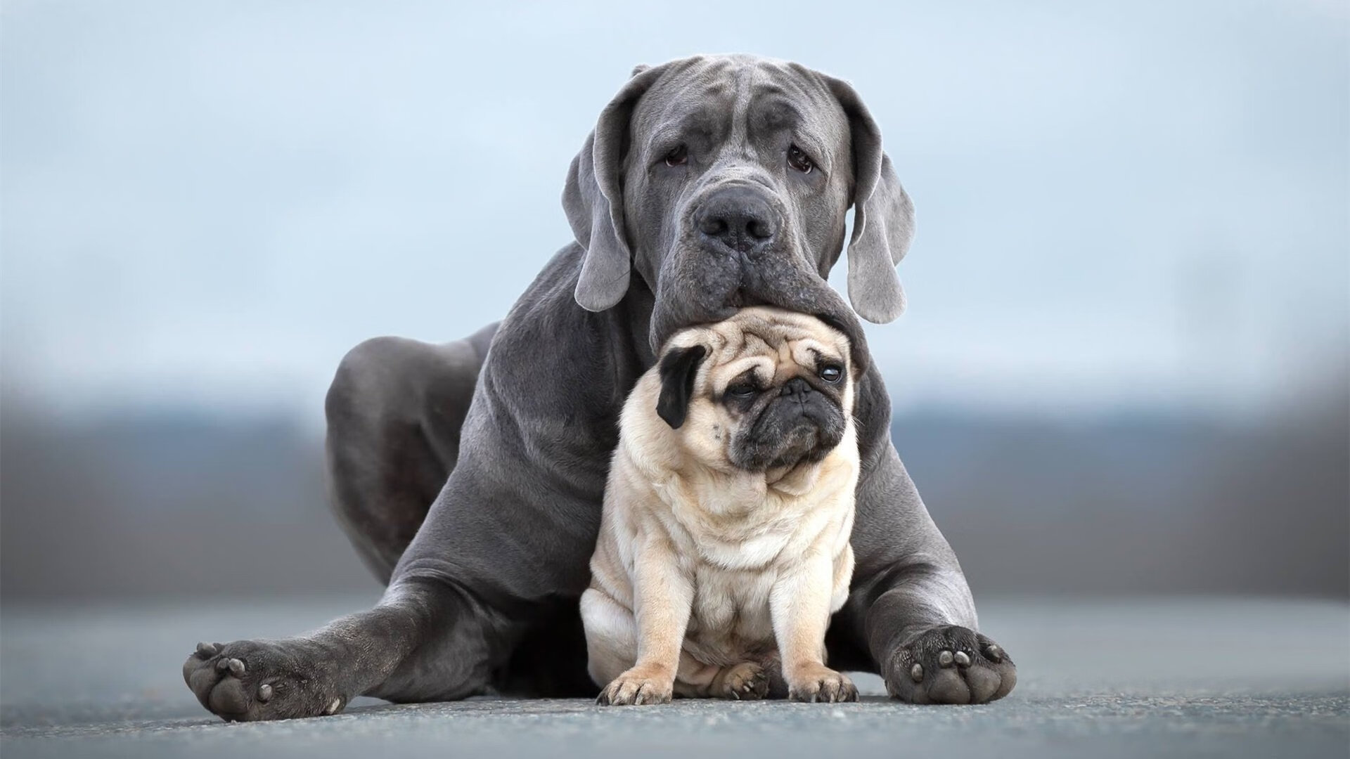 世界排名争夺战之夜，锡安带队奏响胜利凯歌
