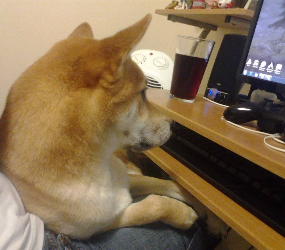 欧陆烽火，解析葡萄牙如何以一部战术教科书稳稳擒获蓝鹰拉齐奥