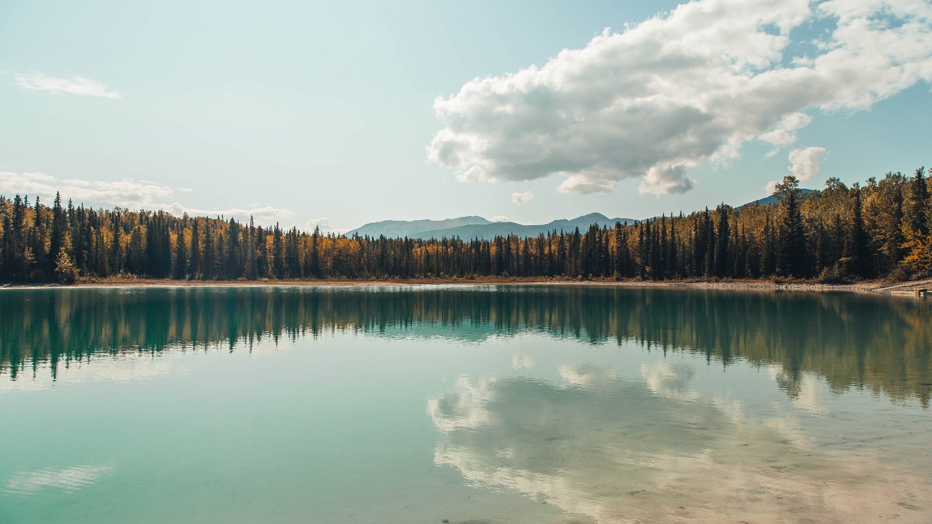 金州，篮球圣殿的足球神谕，西决生死战之夜与弗拉霍维奇的大场面基因