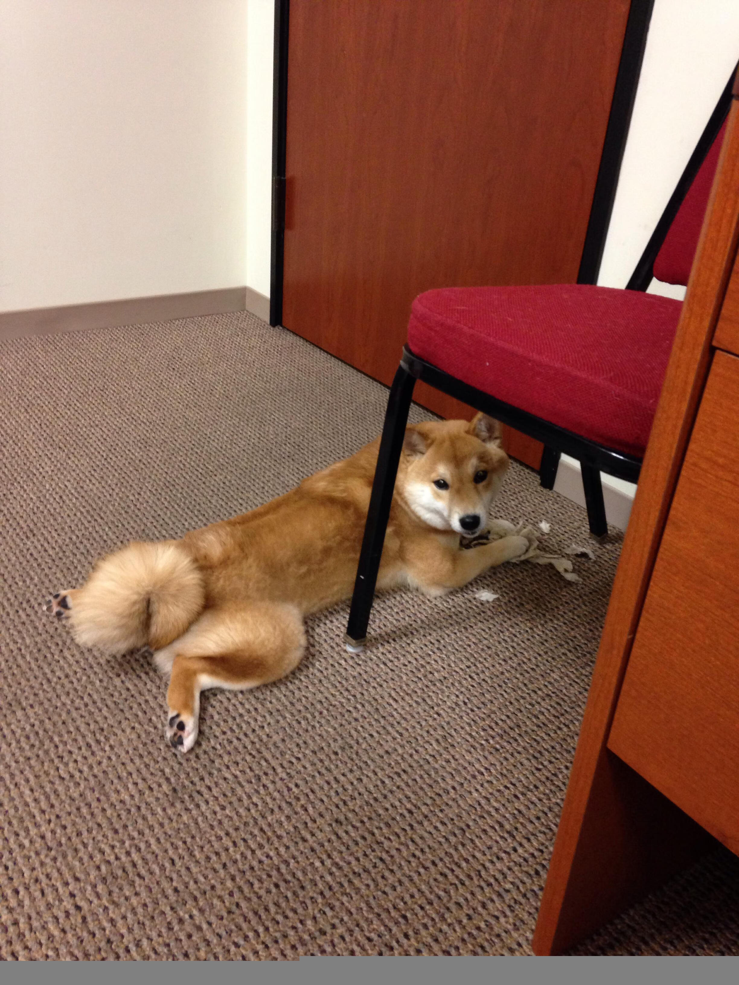 当桑巴席卷永恒之城，萨拉赫在巴西风暴中的反向高能输出