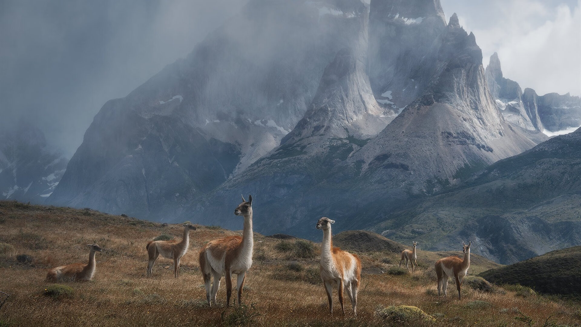 混凝土阵线与统治灯塔,当步行者用防守浇筑胜利,恩比德让悬念在第三节蒸发