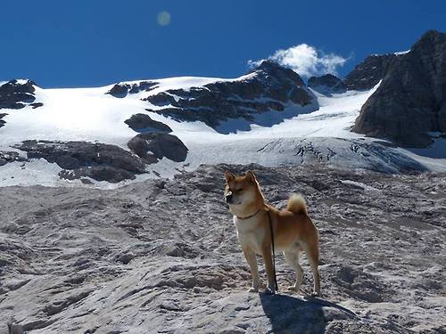 神兵天降！米切尔一剑封喉，猛龙闪电战击溃十一冠王