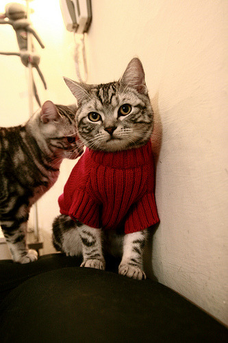 逆转之夜，本泽马金球级演出，西班牙风暴压制尤文铁壁