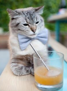 哈利伯顿的觉醒时刻，当哈利-波特的魔法在马刺奏响胜利咒语