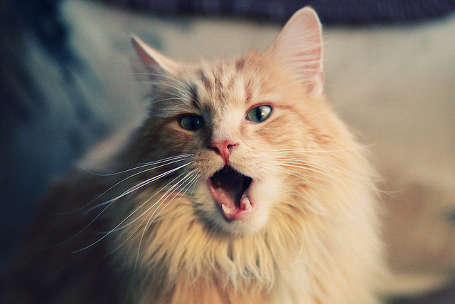 绝境勒布朗，西决生死夜那记擎起王座的传奇进球