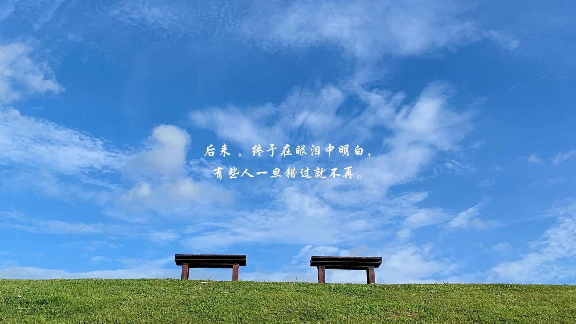 战车重铸日耳曼之魂，魔笛喑哑布达佩斯，2026世界杯C组，一场德国式的精准暴力美学