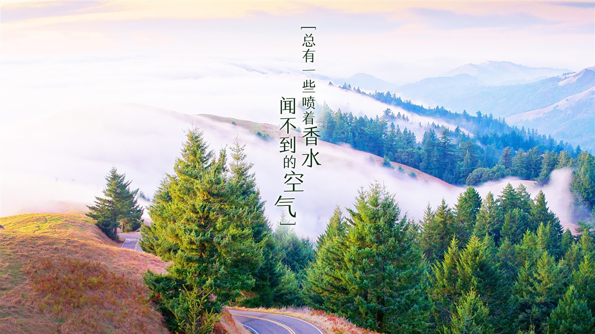 2026世界杯B组巅峰对决，波兰碾压厄瓜多尔，坎塞洛闪耀全场演绎默契风暴