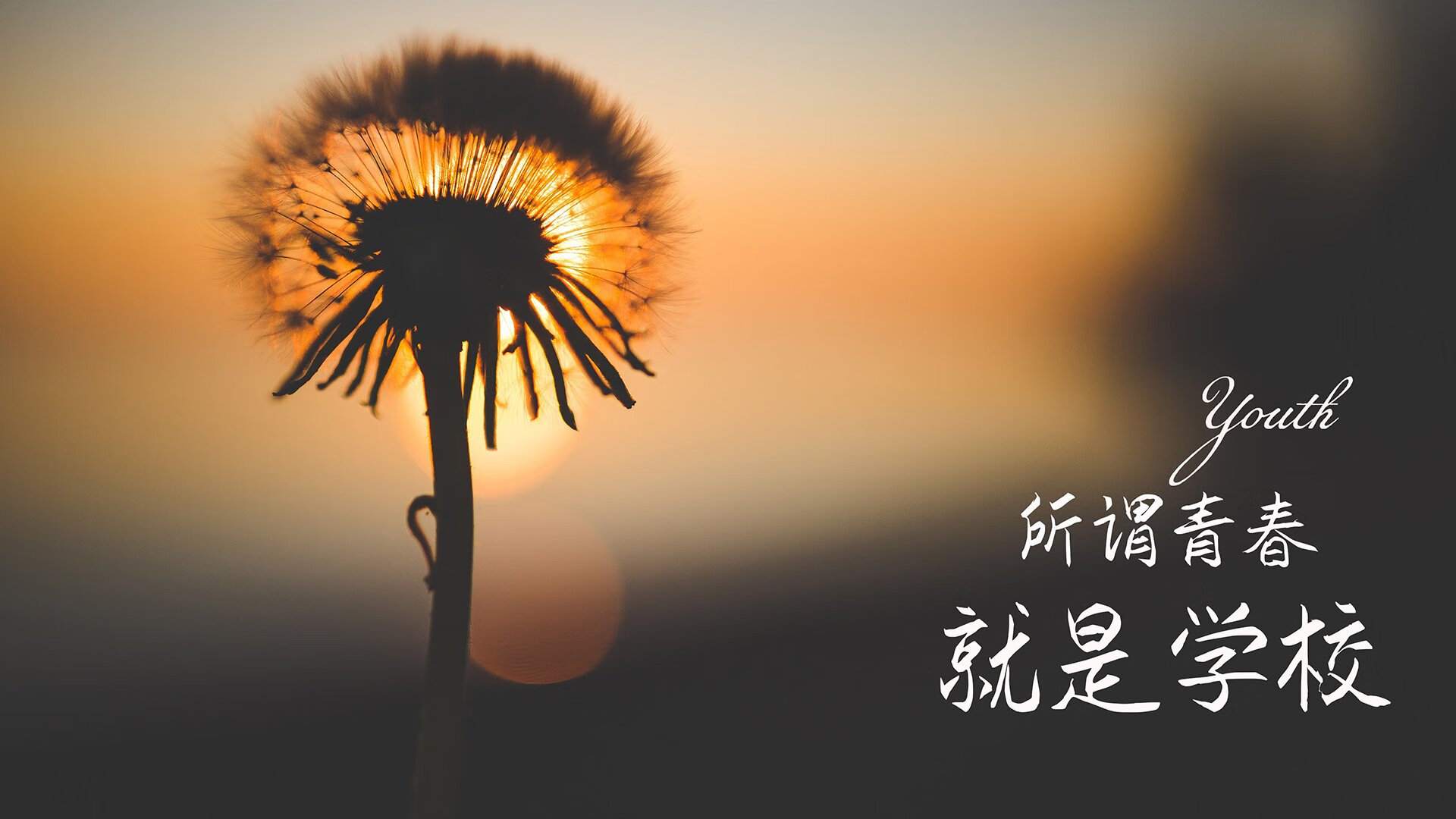 橙色风暴燃爆2026,荷兰绝杀葡萄牙,齐耶赫的极限救赎与不败神话