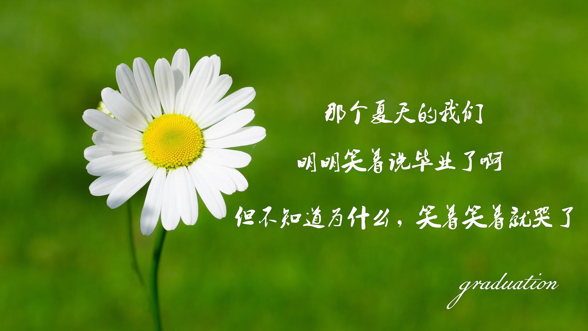 当大象遇见山鹰，卢卡库的孤勇与替补席上的闪电，如何改写2026世界杯B组剧本